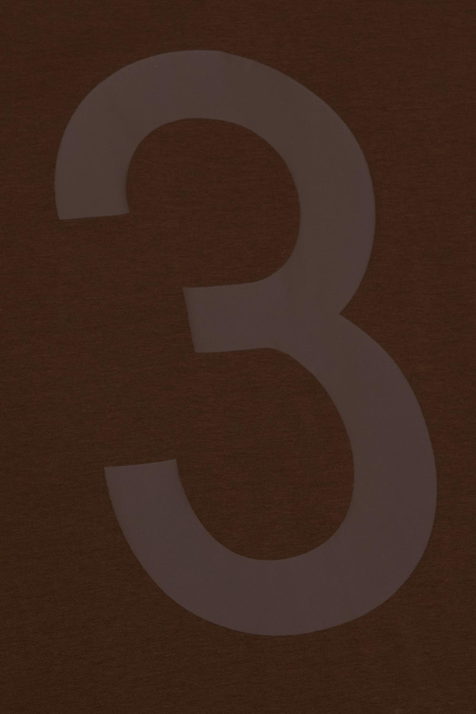 "Legacy" Brown Tee